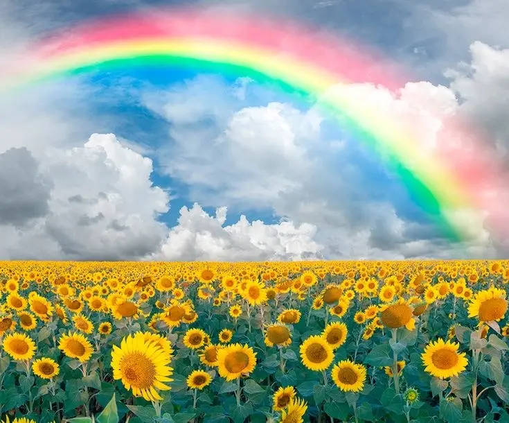 Condolence image of Heide mit Cita im Herzen❤️