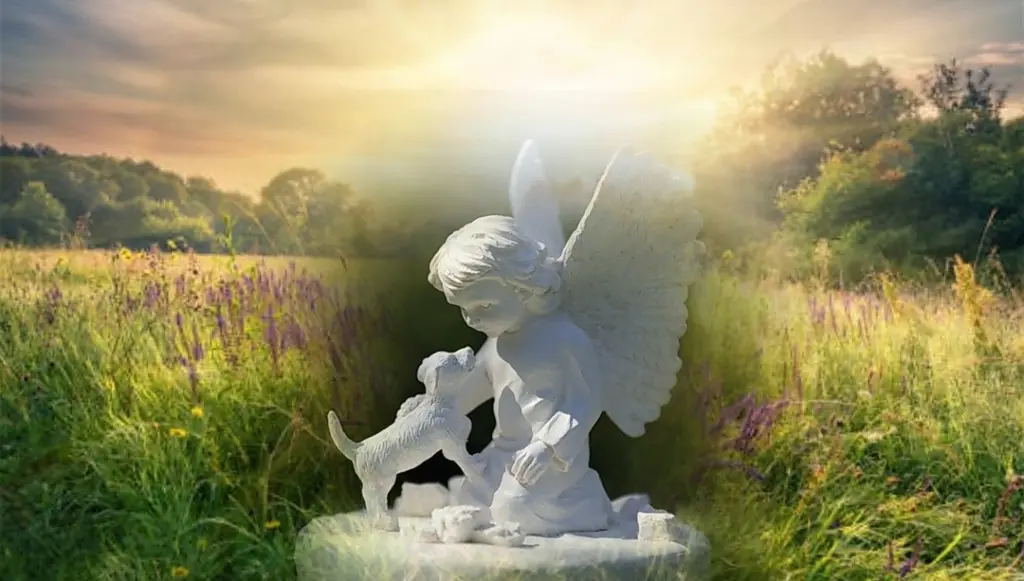 Condolence image of ♡