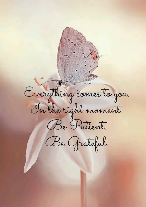 Condolence image of Cuddles ❤️to Snowy ❤️