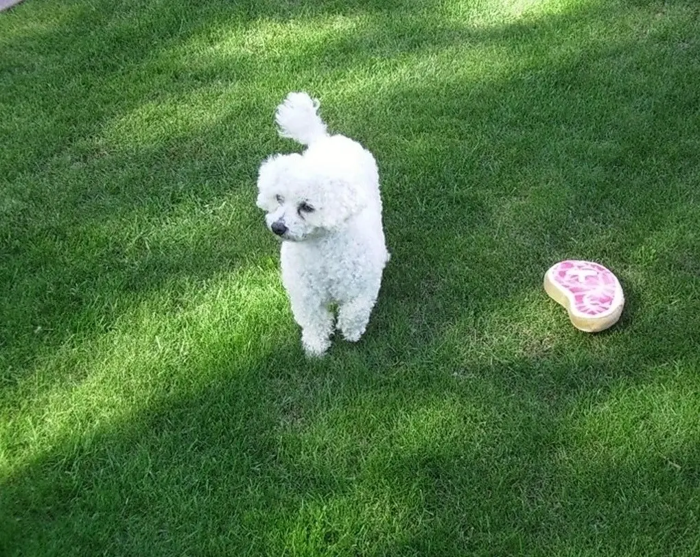 Condolence image of Immer ♡in♡meinem♡Herzen ♡