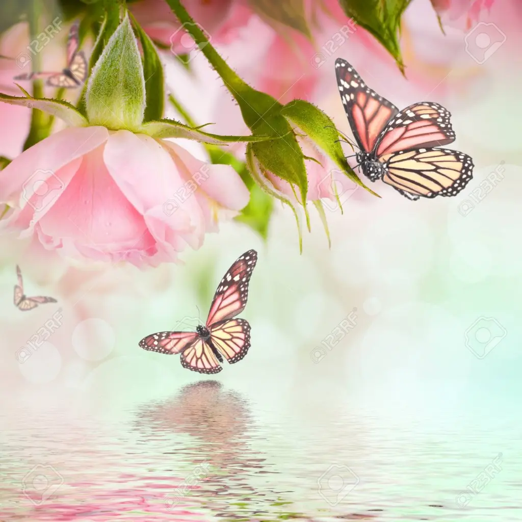 Condolence image of Iris mit Linus und Eliot im ♥ 