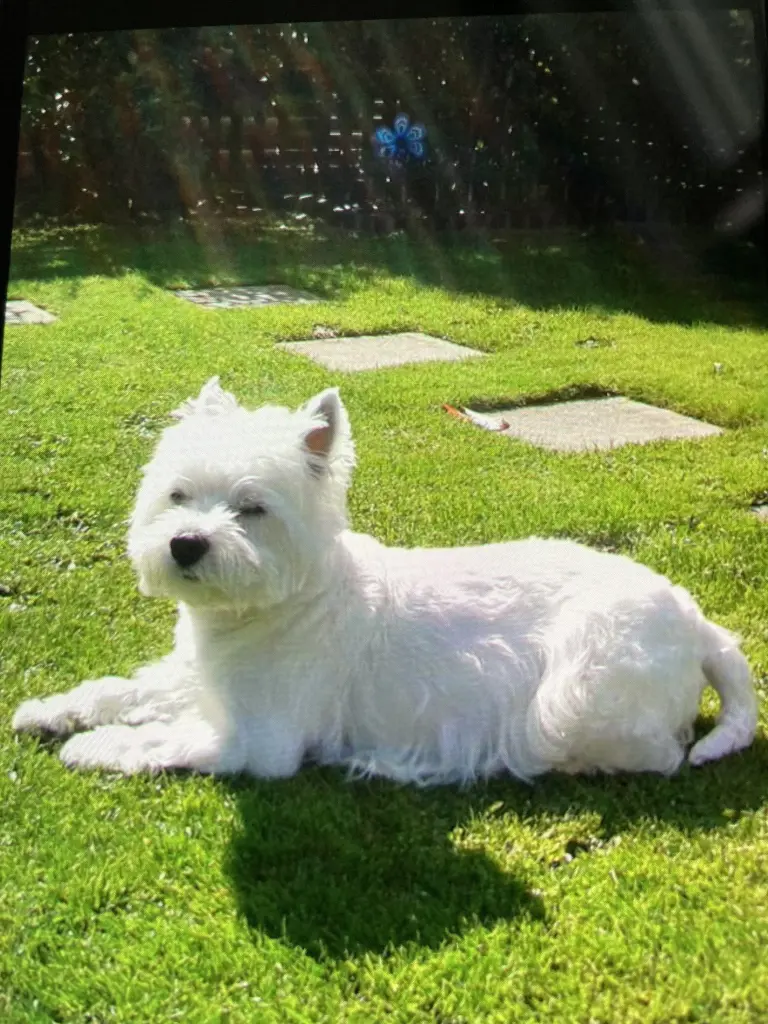 Condolence image of Unbekannt