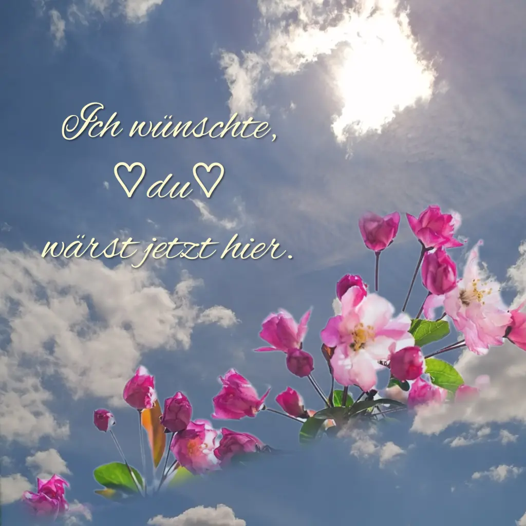 Condolence image of Immer ♡in♡meinem♡Herzen ♡