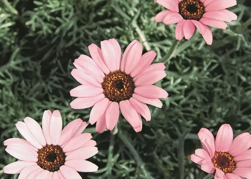 Condolence image of Süße Träume ins Regenbogenland ❤️