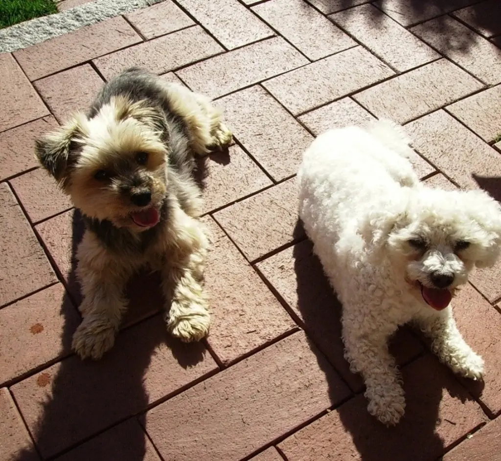 Condolence image of In liebevollem Gedenken♡ 