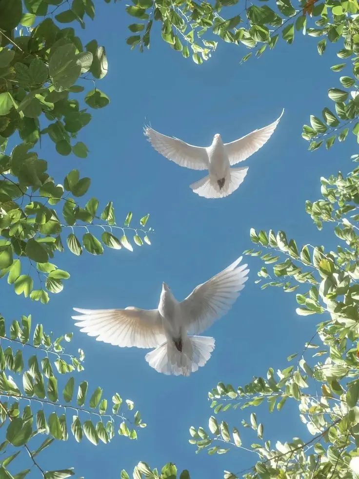 Condolence image of Von Nicky