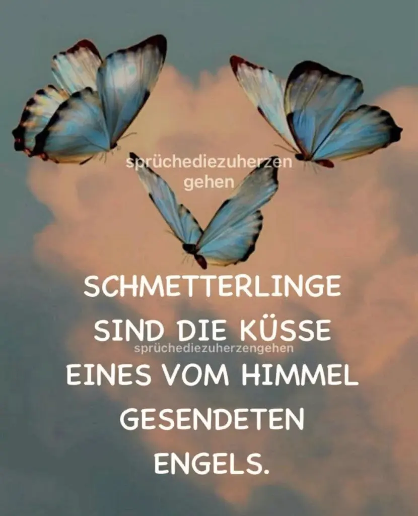 Condolence image of für Buffy ❤️ 