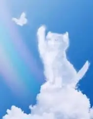 Condolence image of Annemarie und Elke mit Snoopy❤️und Pünktchen ❤️