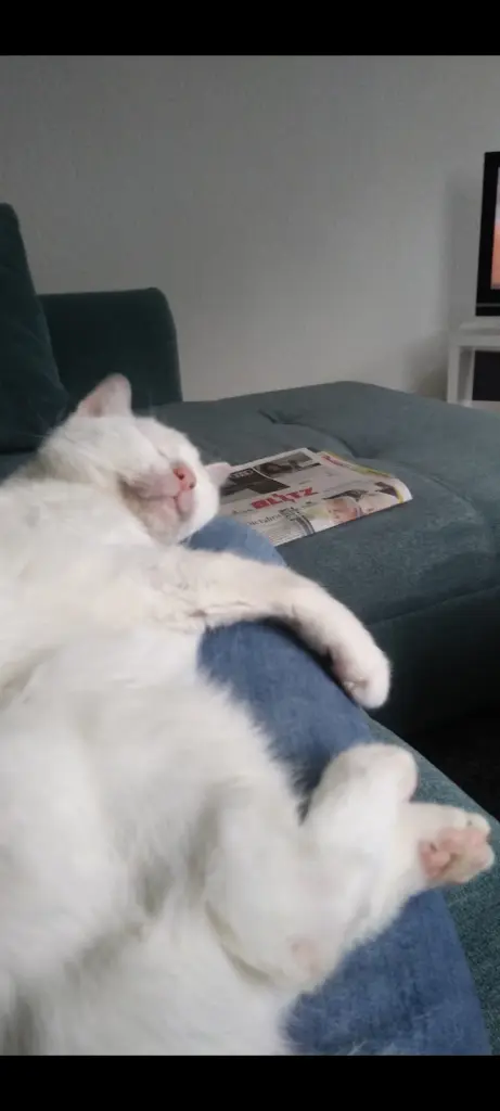 Condolence image of Carsten&Anja