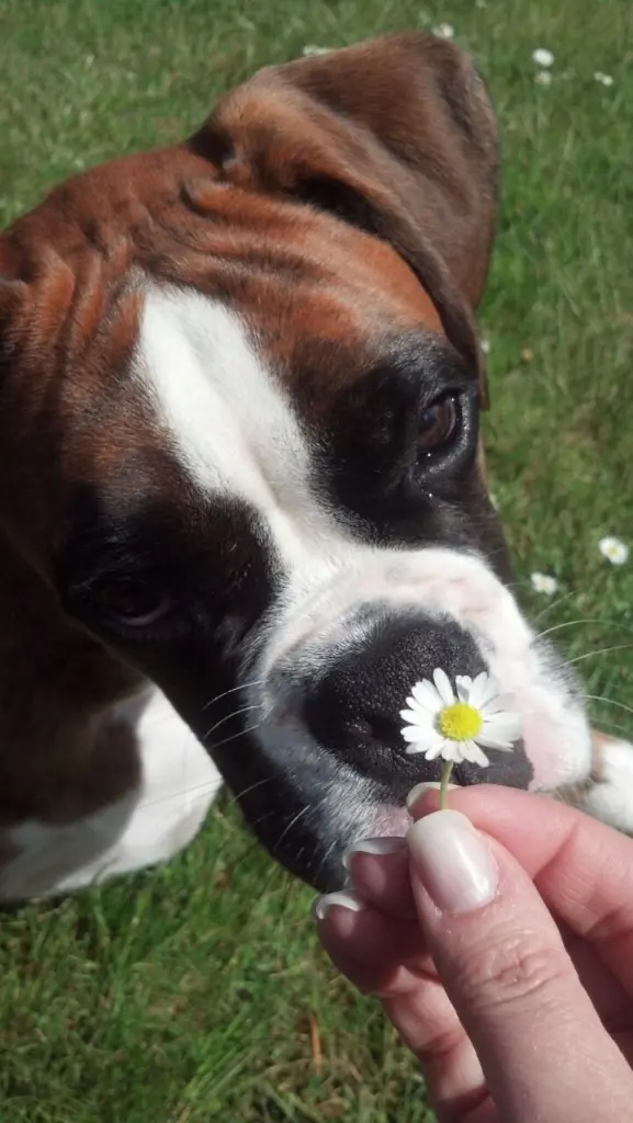 Condolence image of Karina und Jörg mit Floyd im ❤ 