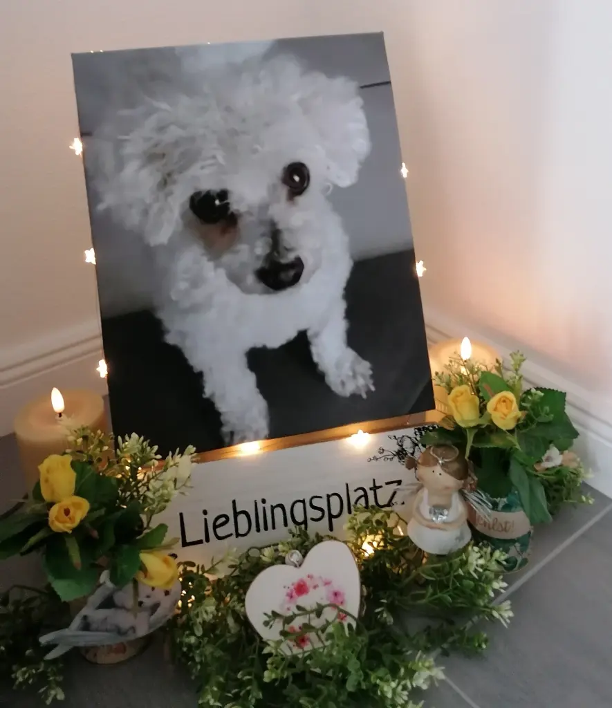 Condolence image of 47Monate... Sehnsucht ♡