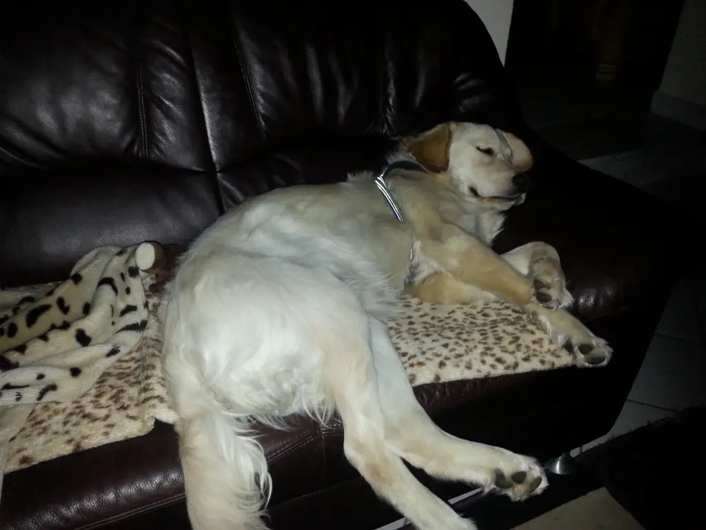 Condolence image of Peter & Christa 