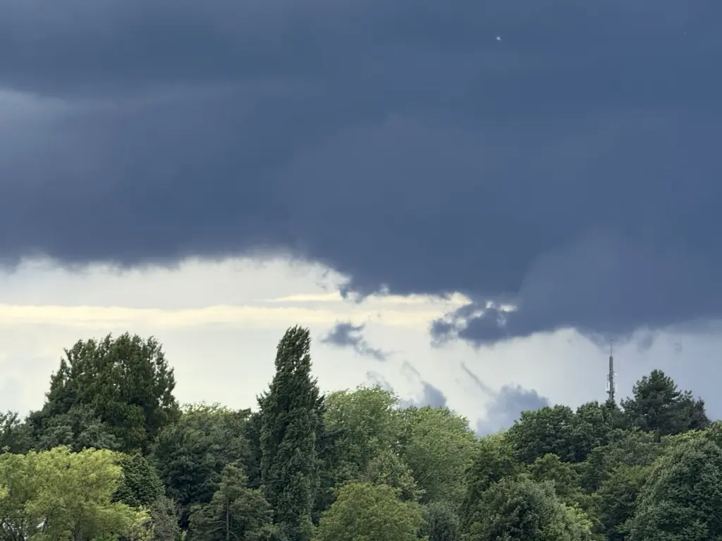 Condolence image of Für Micky ❤️