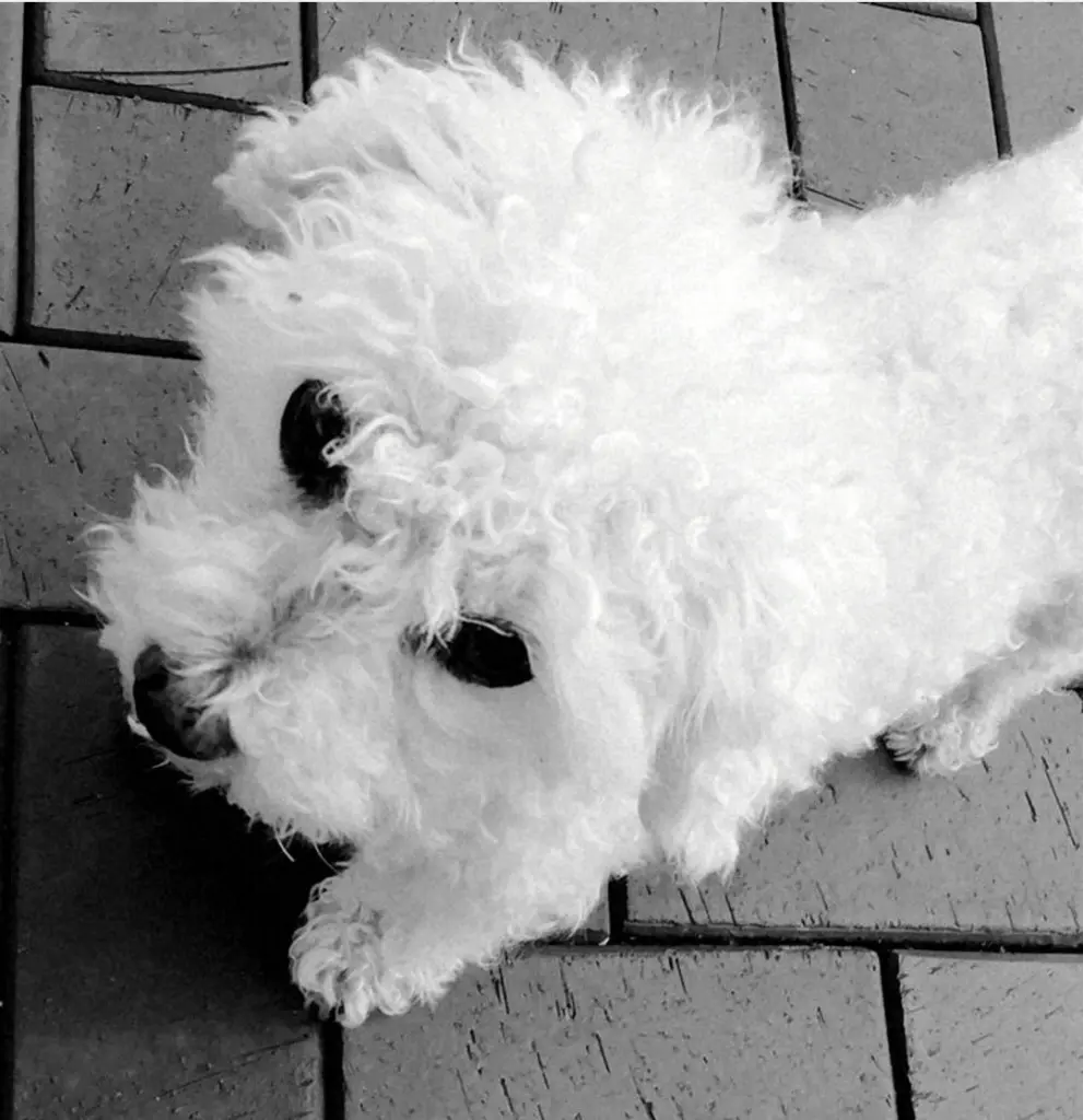 Condolence image of *♡*♡*♡*♡