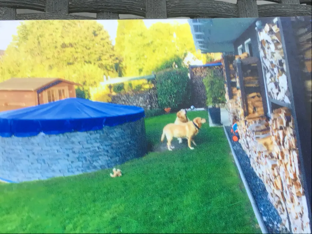 Condolence image of Angelika mit Luna ❤️⭐️