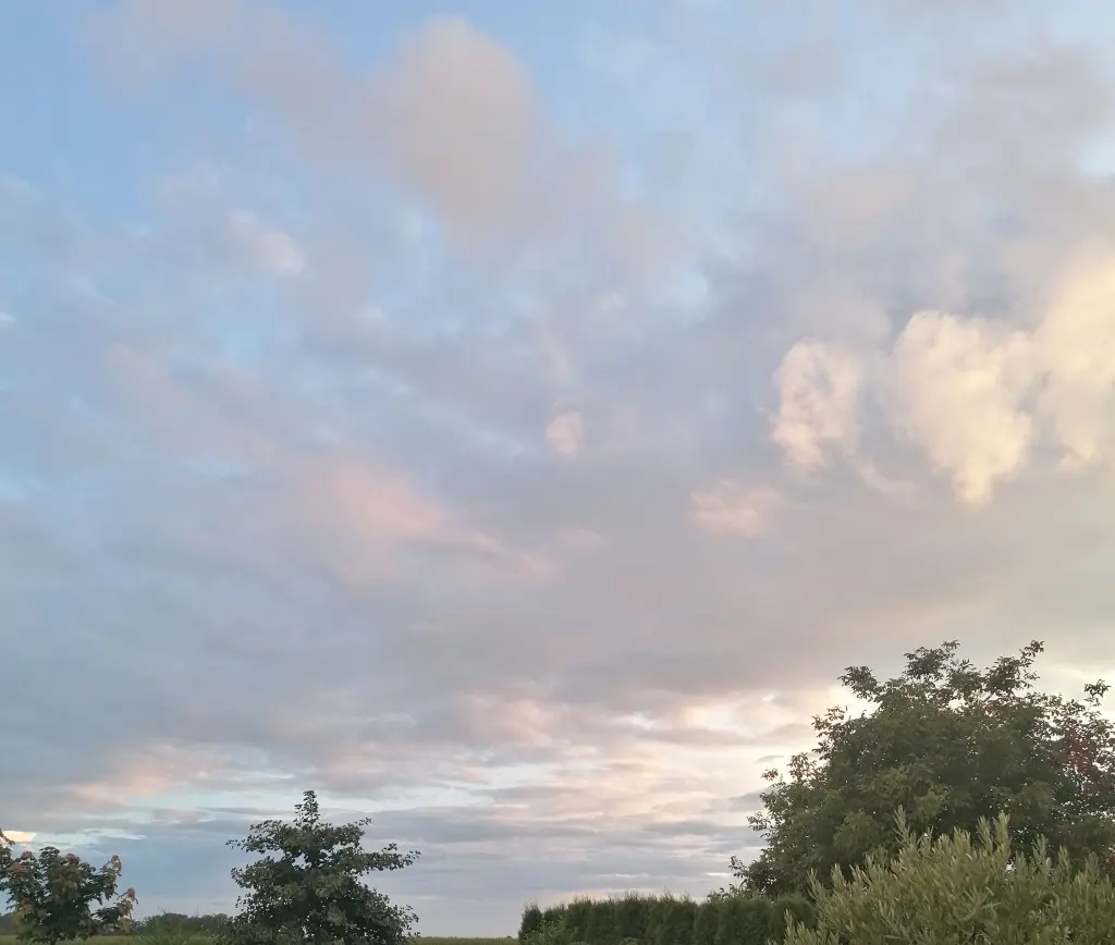 Condolence image of Immer ♡in♡meinem♡Herzen ♡