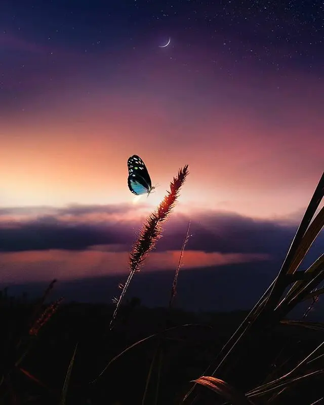 Condolence image of Petra mit Motte 