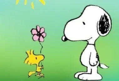 Condolence image of Amy❤️