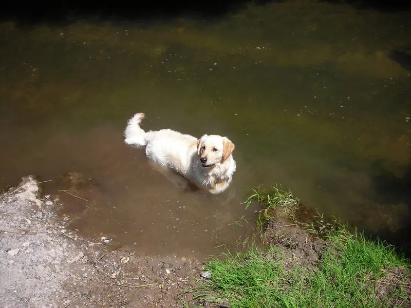 Condolence image of Peter& Christa & Theo❤️