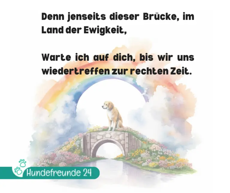 Condolence image of Paul mit "Seelenhund Spiky im Herzen"