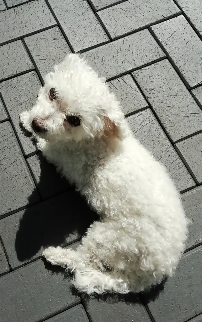 Condolence image of Immer ♡in♡meinem♡Herzen ♡