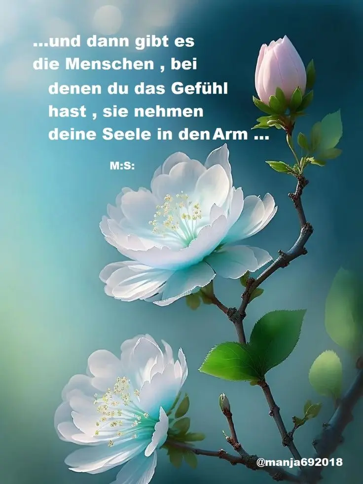 Condolence image of Manuela mit Fiby im Herzen ❤️ 