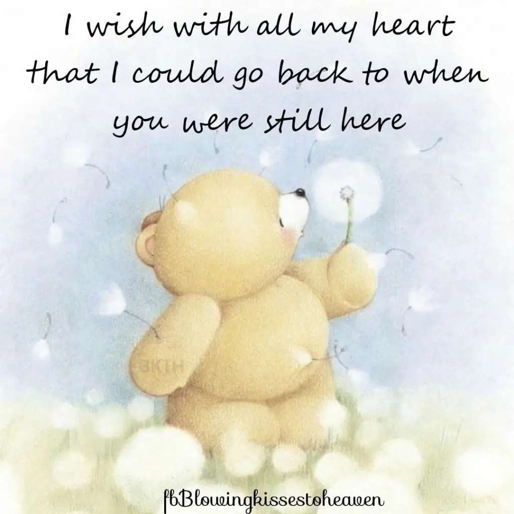 Condolence image of Für Snowy 