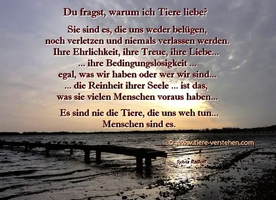 Condolence image of Paul mit "Seelenhund Spiky im Herzen"