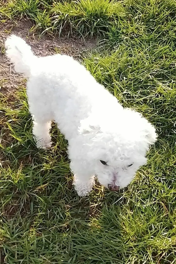 Condolence image of ♡ 