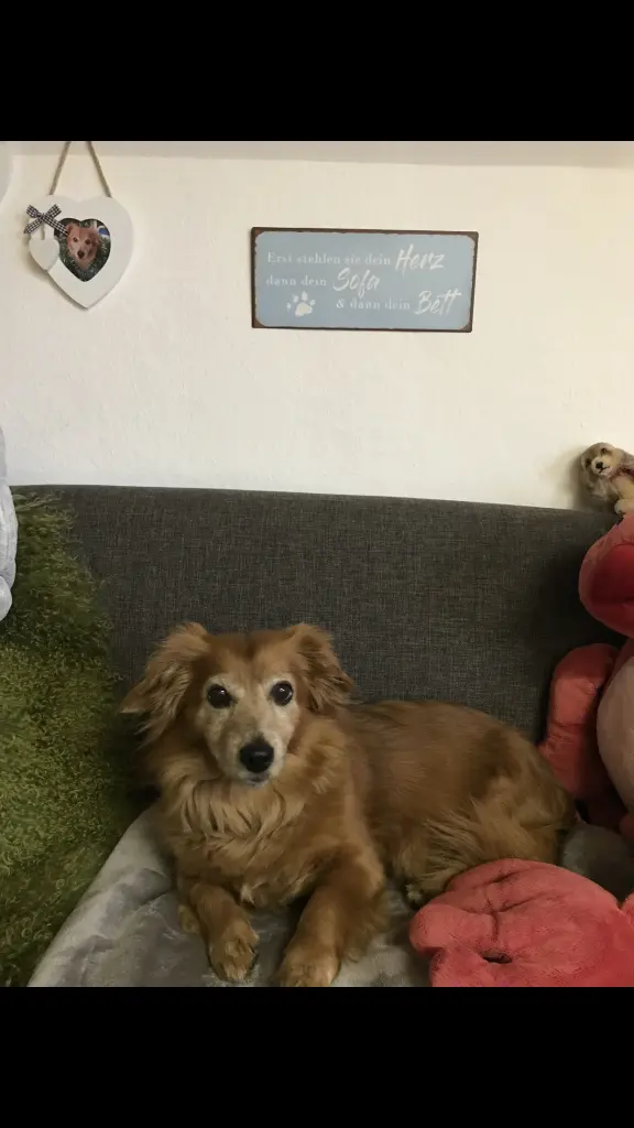 Condolence image of Heike