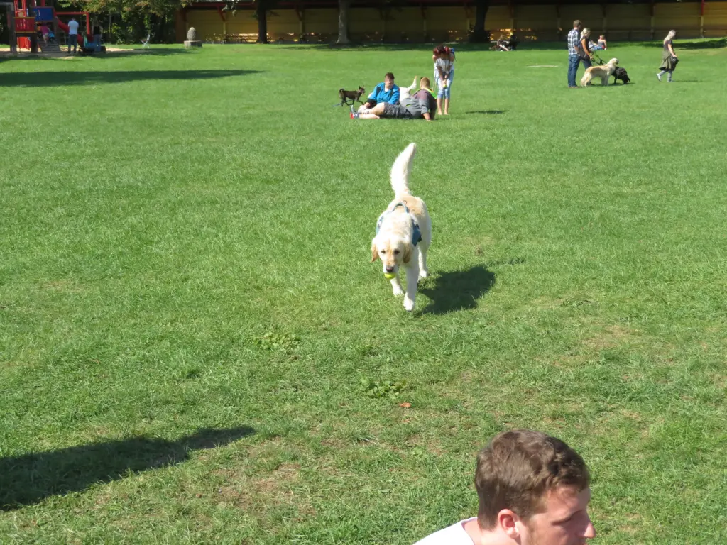 Condolence image of Peter Christa mit Theo 