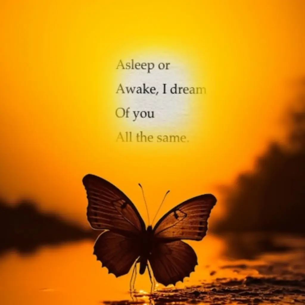 Condolence image of Cuddles 