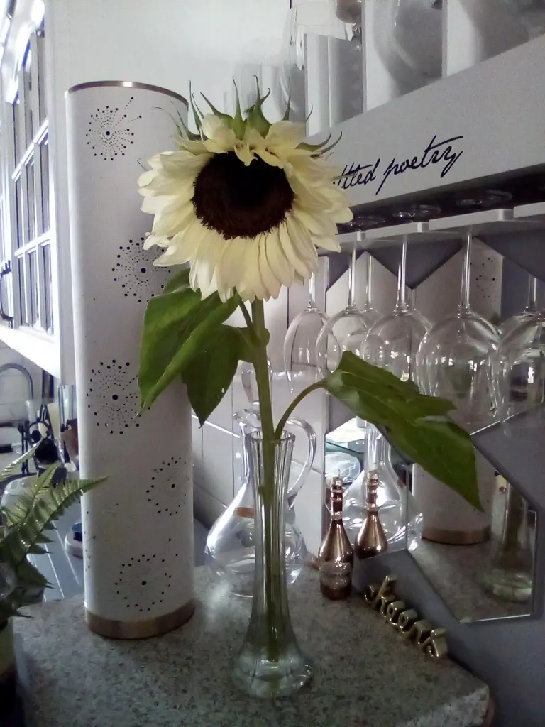 Condolence image of Beate mit Elvis im Herzen ❤