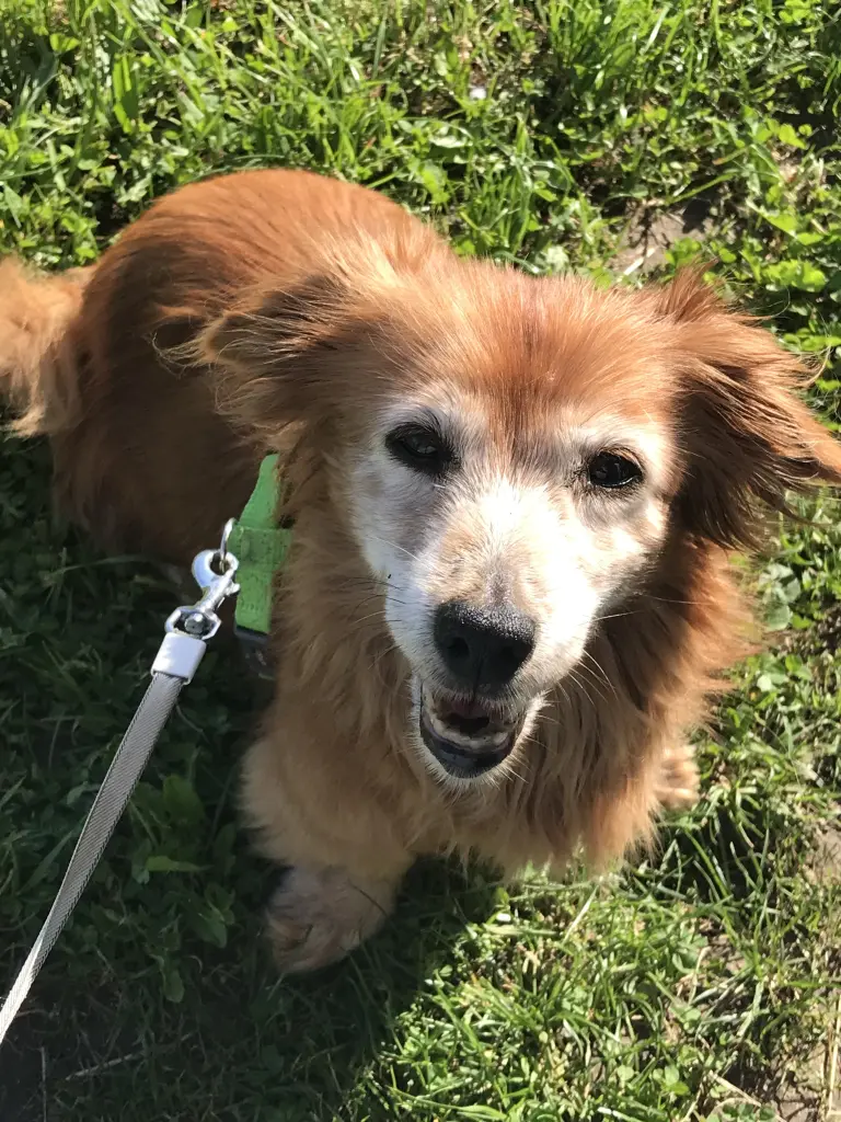 Condolence image of Heike 