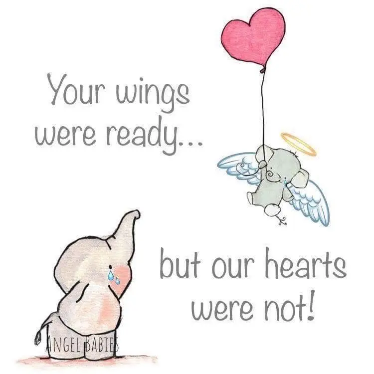 Condolence image of Für Snowy 