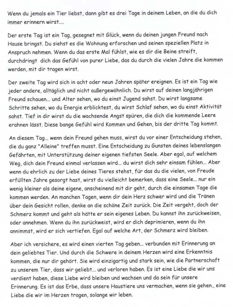 Condolence image of Paul mit "Seelenhund Spiky im Herzen"