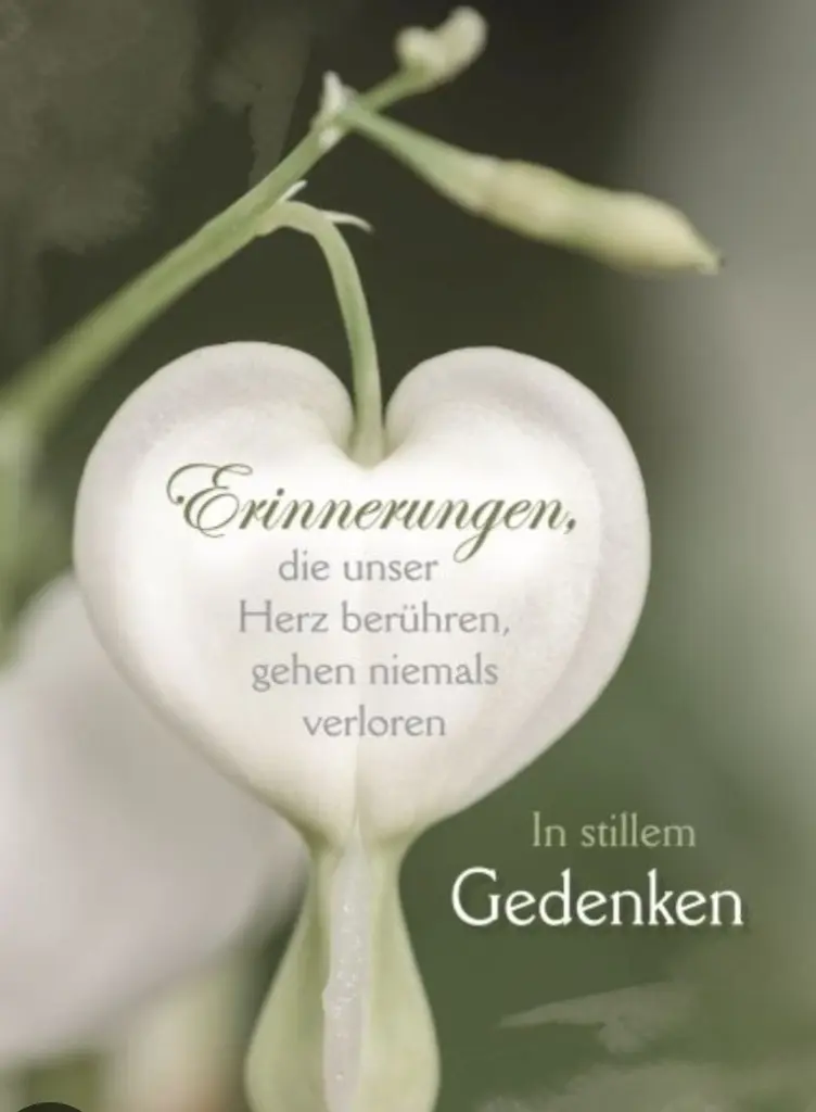 Condolence image of Petra mit Motte