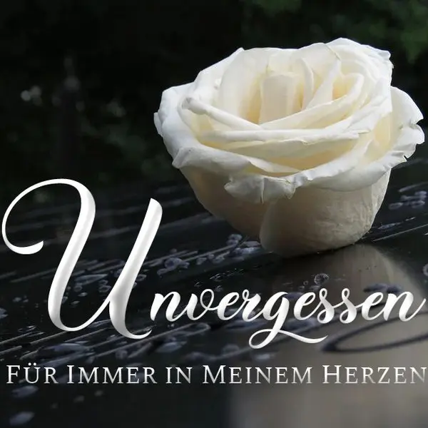 Condolence image of Gabi mit Max