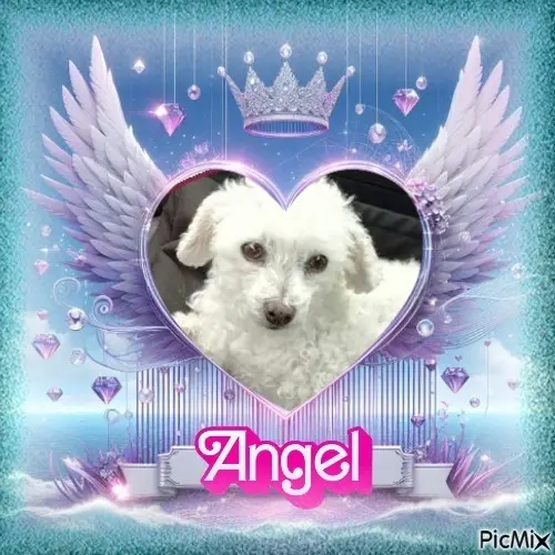 Condolence image of 4.Sternchen⭐️Gefnktag❤️❤️❤️❤️