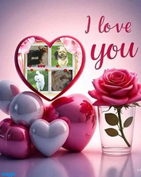 Condolence image of ❤️❤️❤️❤️❤️❤️❤️❤️❤️❤️❤️❤️