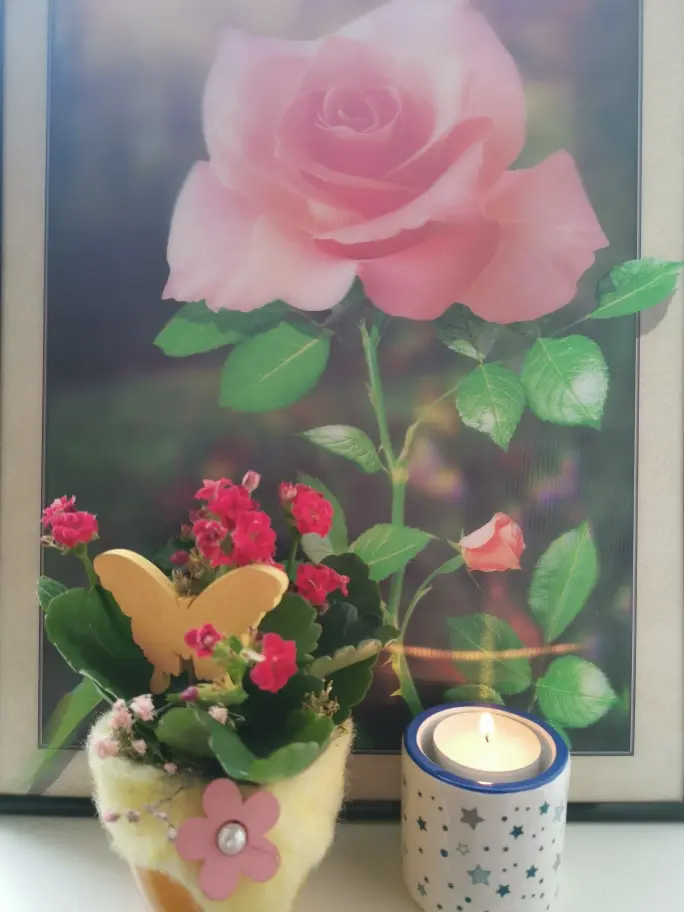 Condolence image of Olena mit Lesik im Herzen ❤️