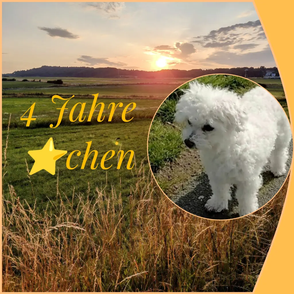 Condolence image of Corinna ♥️