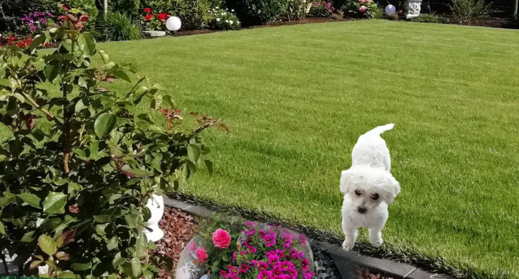 Condolence image of ♡ Herzen ♡ 