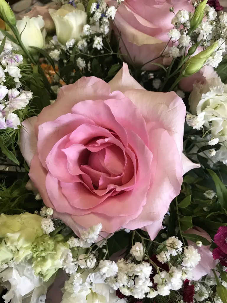 Condolence image of Heike mit Bobbie 