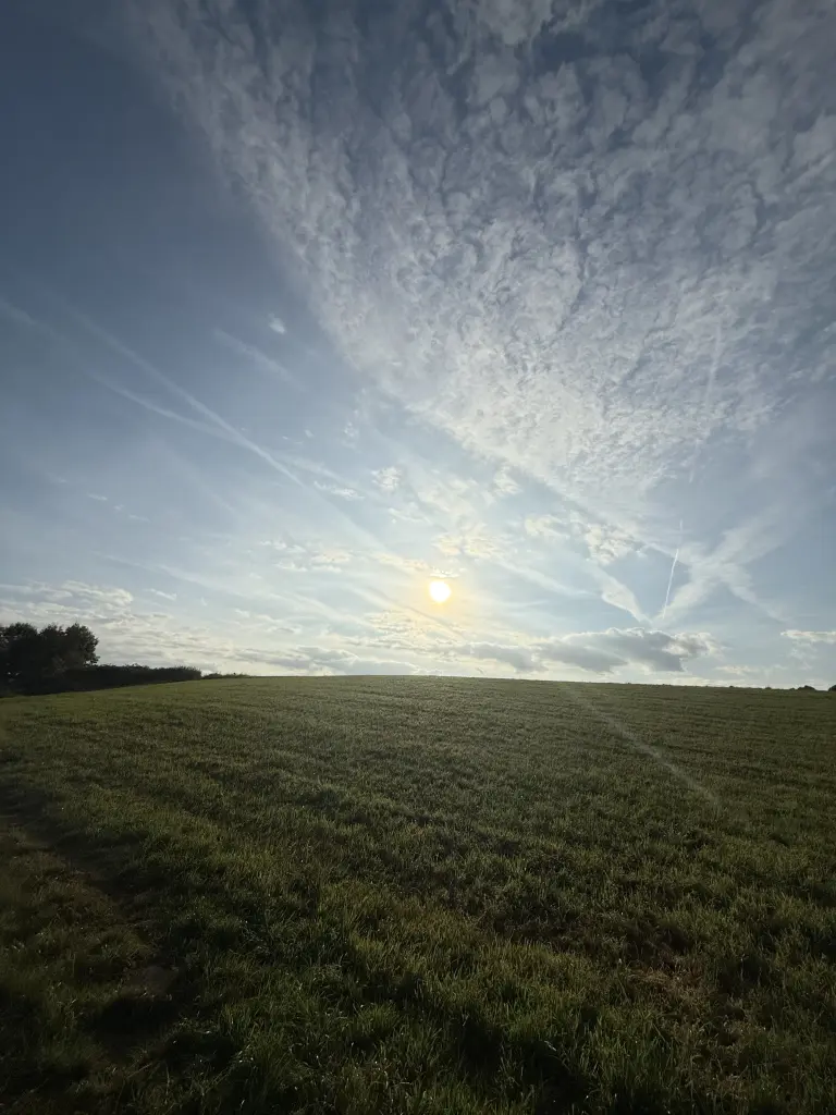 Condolence image of Für Mickey