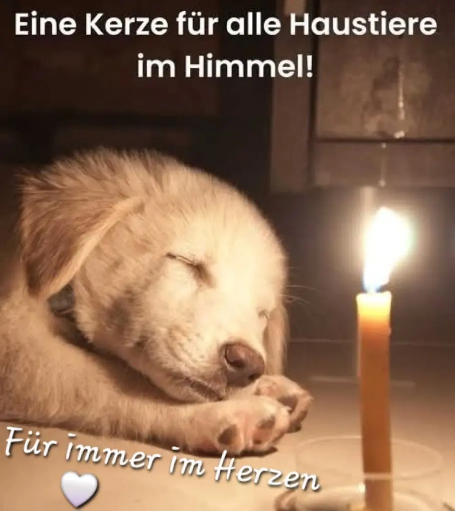 Condolence image of ❤️❤️