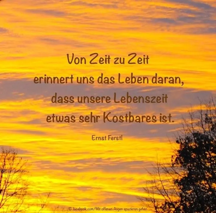 Condolence image of Petra mit Motte 