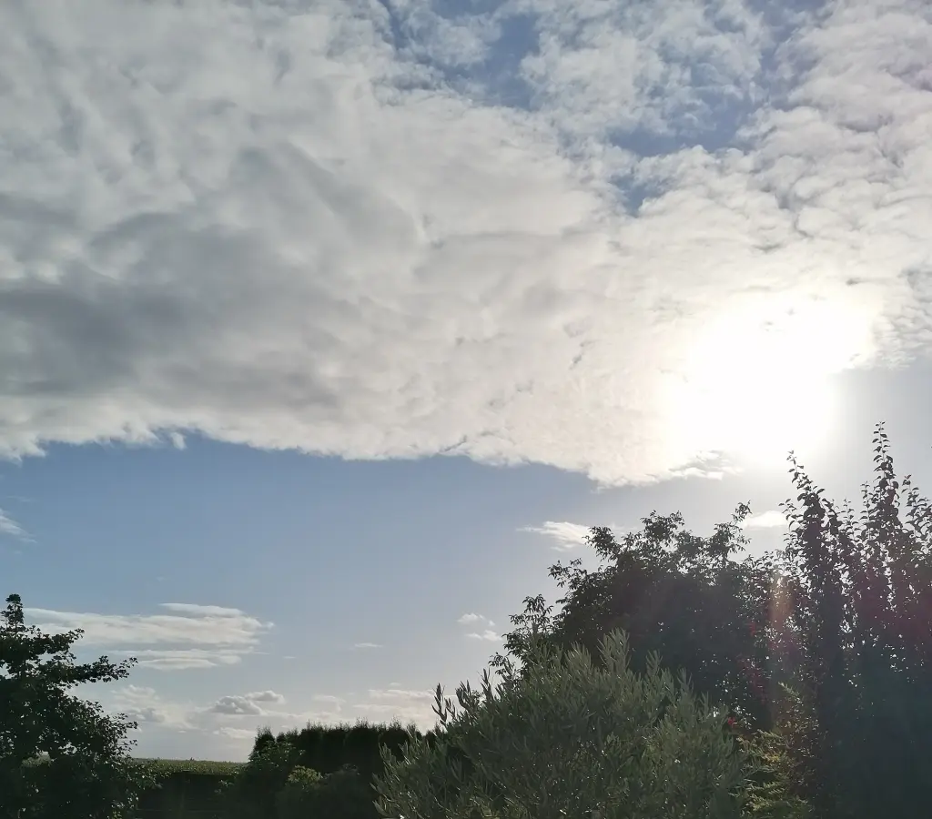 Condolence image of Immer ♡in♡meinem♡Herzen ♡