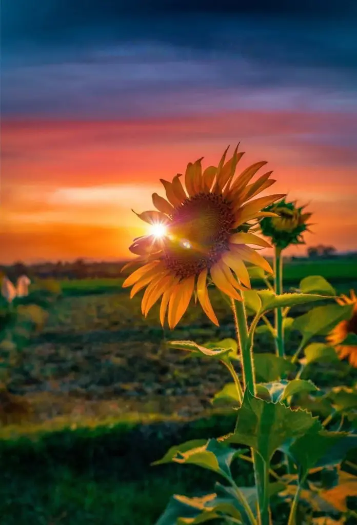 Condolence image of ♥️♥️