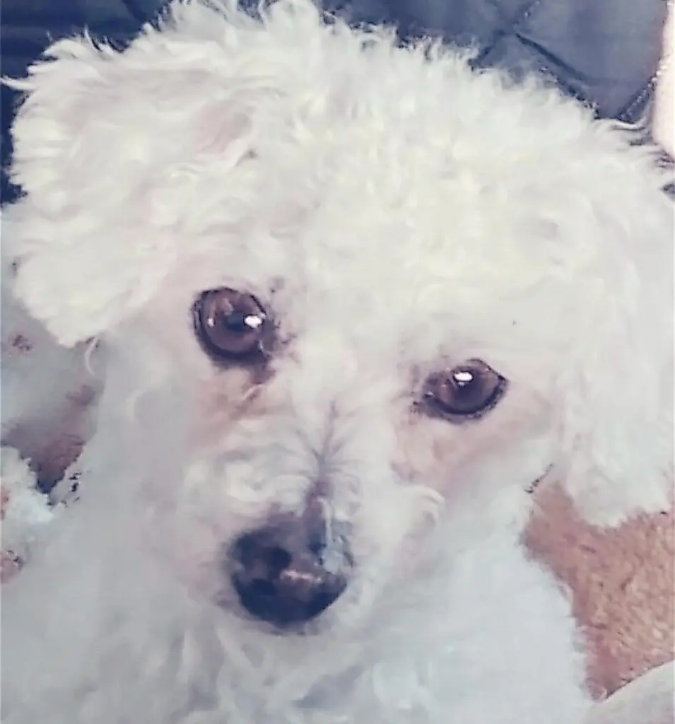 Condolence image of Immer ♡in♡meinem♡Herzen ♡